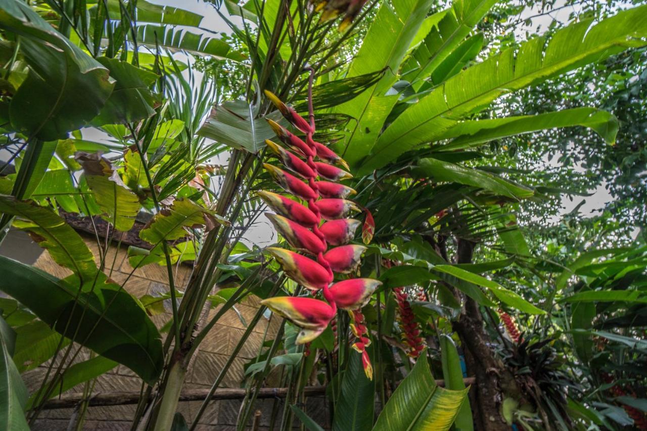 Tegar Guest House Ubud Kültér fotó
